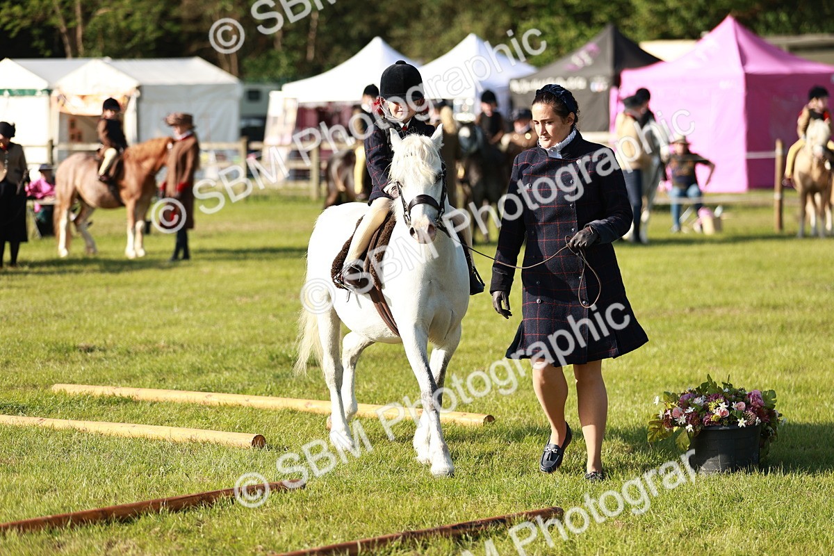 SBM_11095 - Class 106-107 - BSPS LIHS Working Sports Pony
