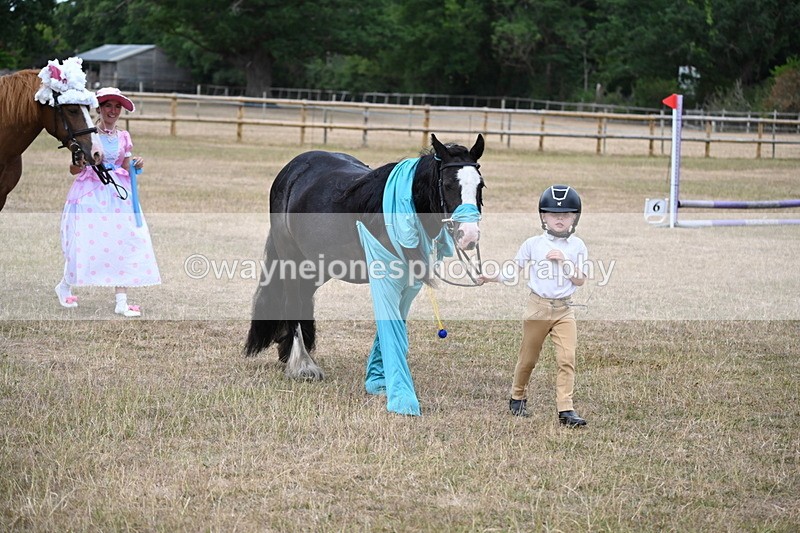 WJ6_8689 - Class 11 Fancy Dress
