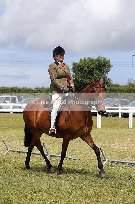 1X9A4224 - Plaited Ridden Championship