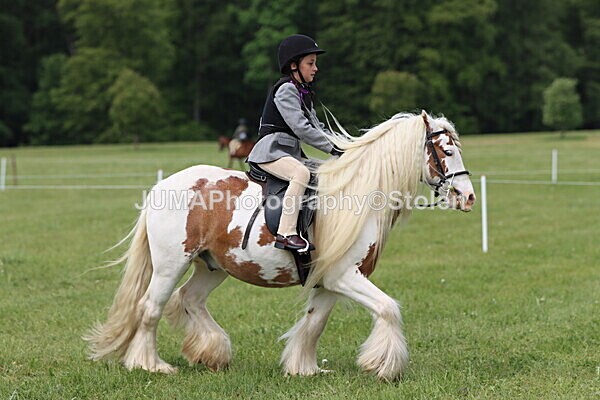 IMG_2598 - Working Hunter
