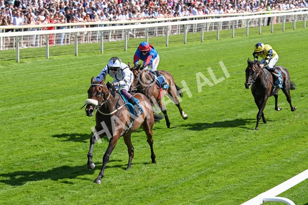 120725-Race 4-Al Qareem-5786 - Race 4 3.45pm John Smith's Silver Cup Stakes