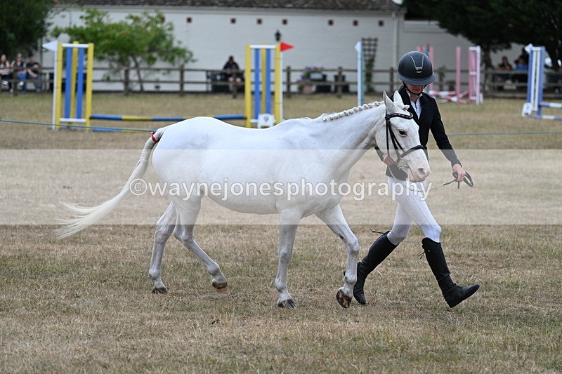 WJ7_8314 - Class 4 Prettiest Mare up to 14.2hh