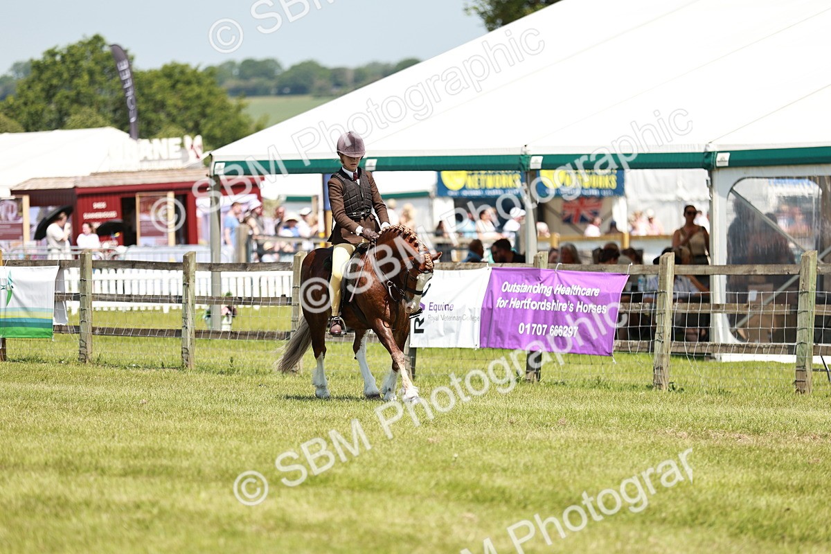 SBM_15510 - Class 108-109 - BSPS LIHS Open Gradle & Nursery Stakes