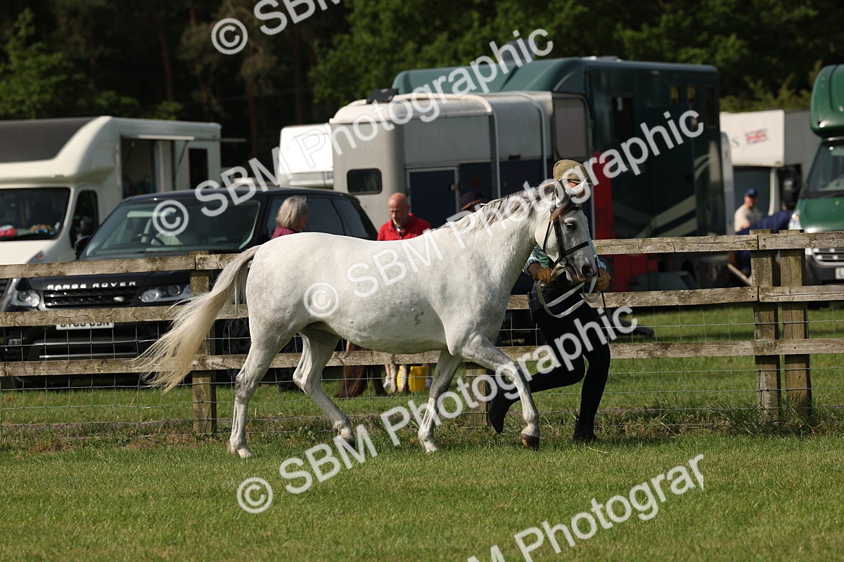 SBM_00746