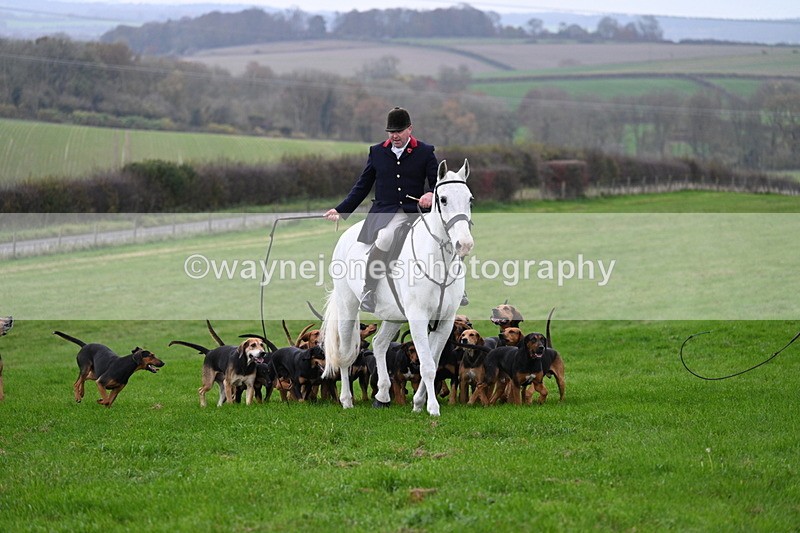 WJ7_8856 - Meet Staff & Hounds