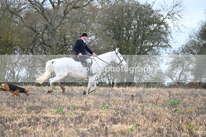 WJ6_9477 - Line Four