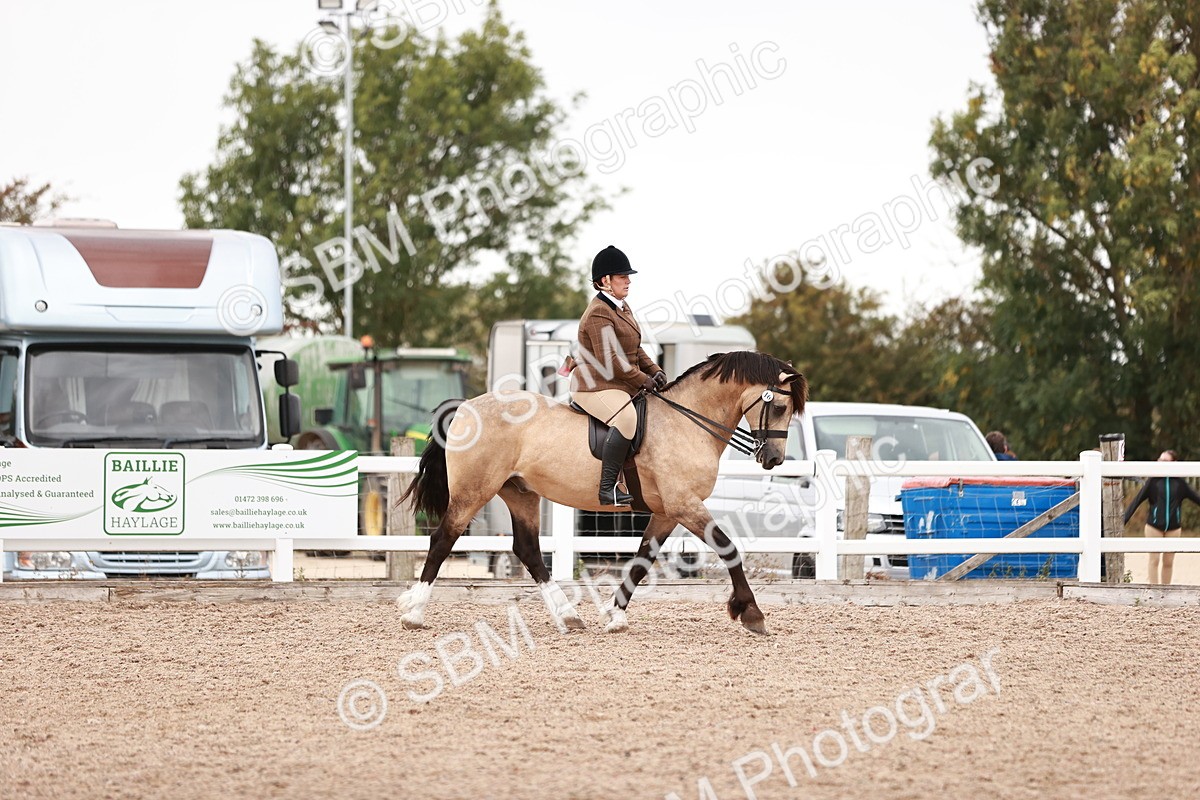 SBM_19071 - Class 422 - Ridden M&M