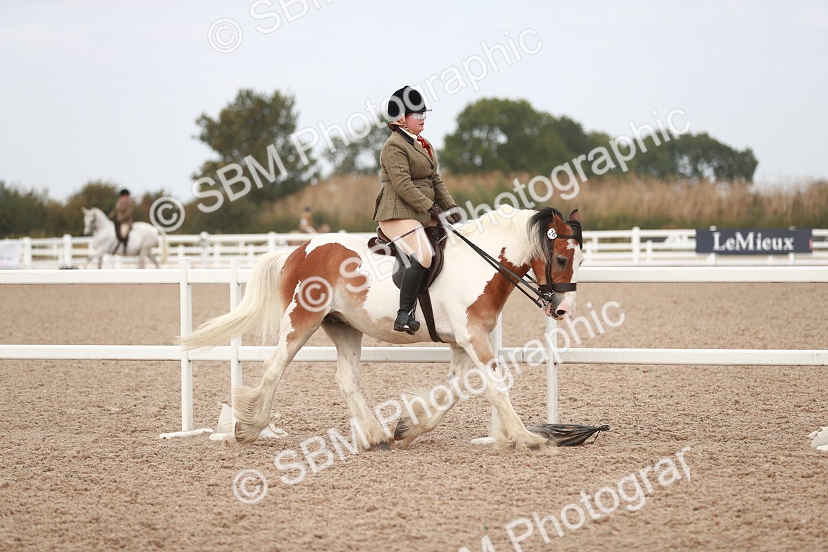 SBM_16660 - Class 214 Ridden Cob
