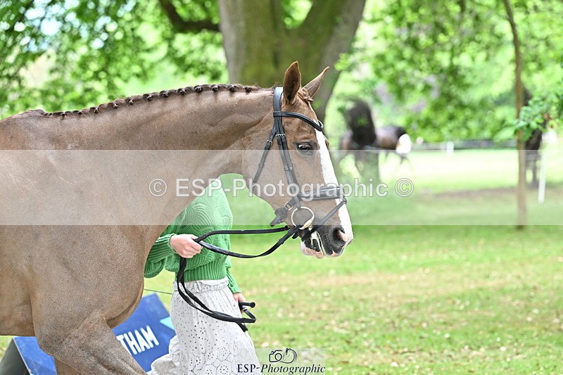 250521A-144400-00200 - A-057-Tabitha.Moore-BILLY.HOODOOS