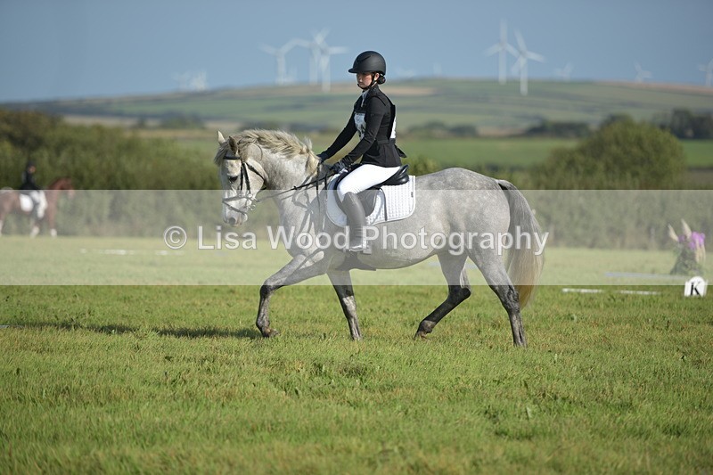 RAY_7386 - Class 2B: Trekenning Open: Dressage