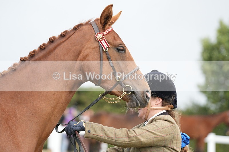 DSC06187 - Class 54: Hunter/Riding Horse/Hack 1 & 2 yr olds
