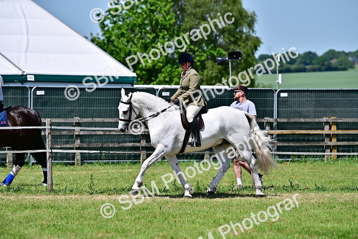 SBM_17488 - Class 95-97 - BSPS LHS Performance Ponies
