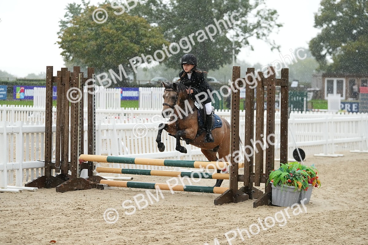 SBM_33500 - J5 - Junior Pony 50cm Championship