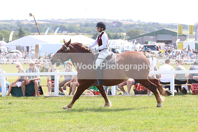 JPP_3519 - Class 15: Heavy Horse Ridden