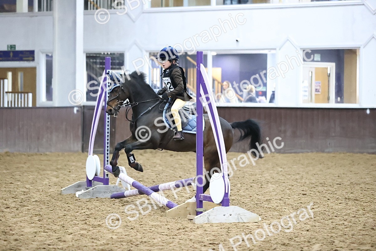 SBM_000094 - Class 2 - The Rug Lady 40cm Area 12 Championship Qualifier