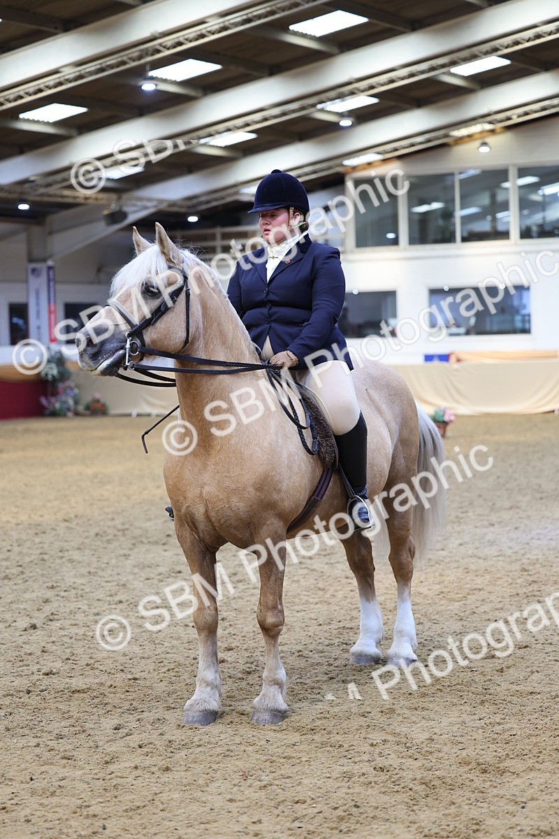 SBM_23949 - Class 905 - Supreme Final - Ridden Veteran
