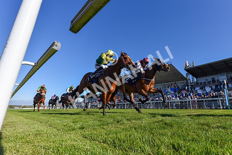 230426-Race 7-Coolree-6557 - Race 7