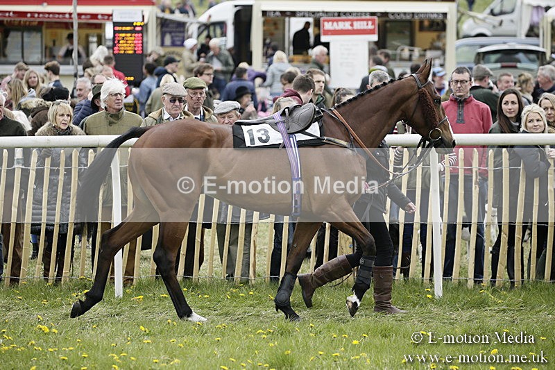 PtP 170417 481 - Old Berks Point-to-Point Lockinge 17/04/17