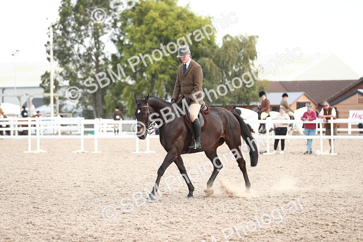 SBM_15521 - Class 213 Ridden Hunter -Large