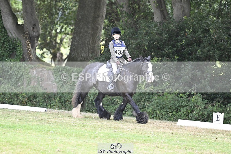 250821A-102222-14291 - DR 10.00 to 11.00