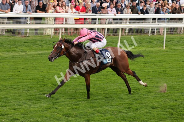 yr19082021r7-16 - Race 7 5.20pm British Stallion Studs EBF Fillies' Stakes