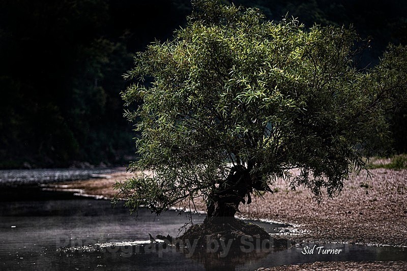  - Nature