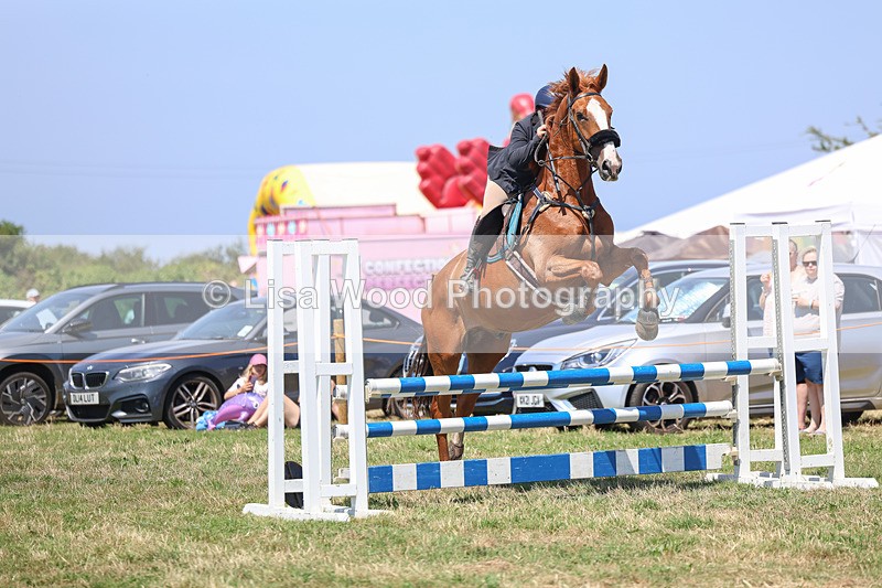 3E7A4419 - Class 10: Senior British Novice/90cm open