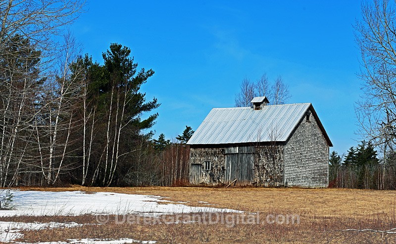 Heritage Barn in Early Spring - Old Barns & Buildings