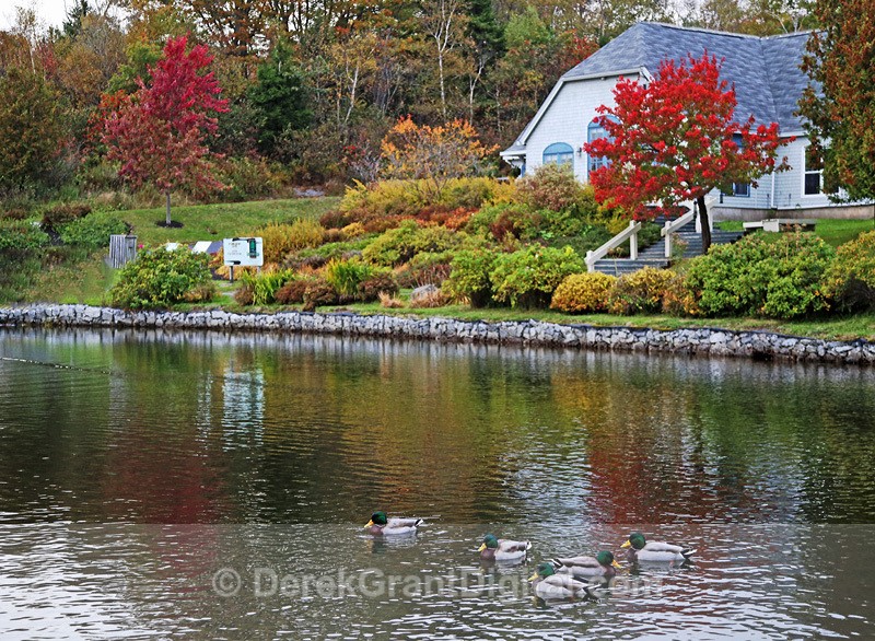 Rockwood Park Saint John New Brunswick Canada - Saint John