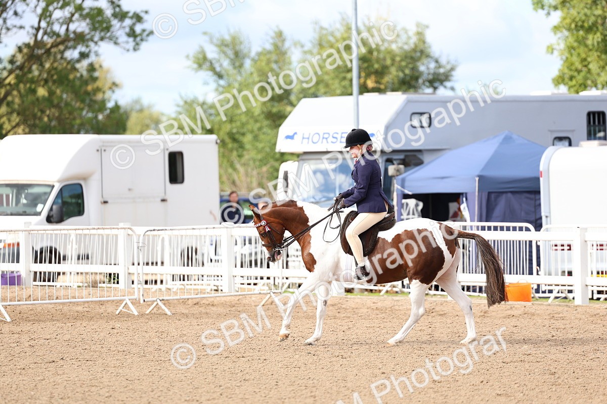 SBM_10064 - Class 304 - Ridden Part Bred Horse Pony
