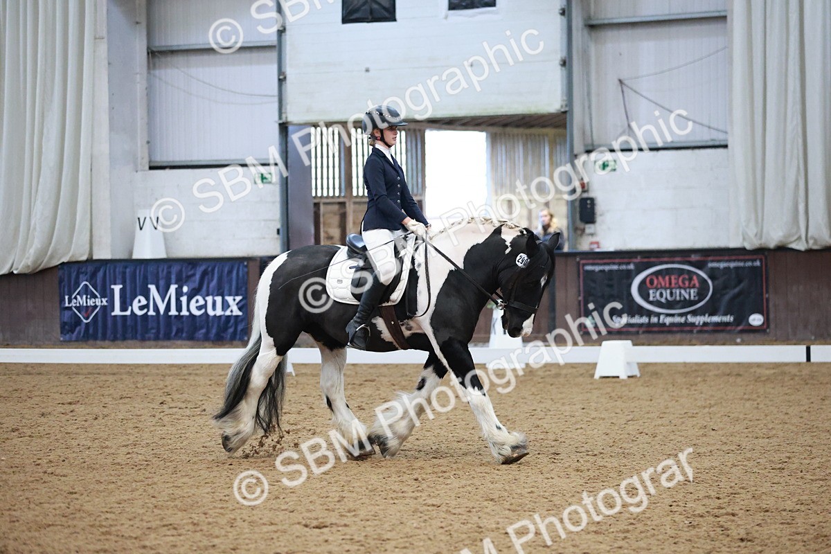 SBM_004550 - Ring 3 - International -  Working Hunter Classes 23-2-25