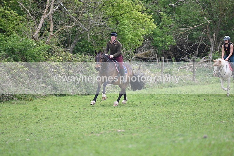 WJ6_3276 - A camera