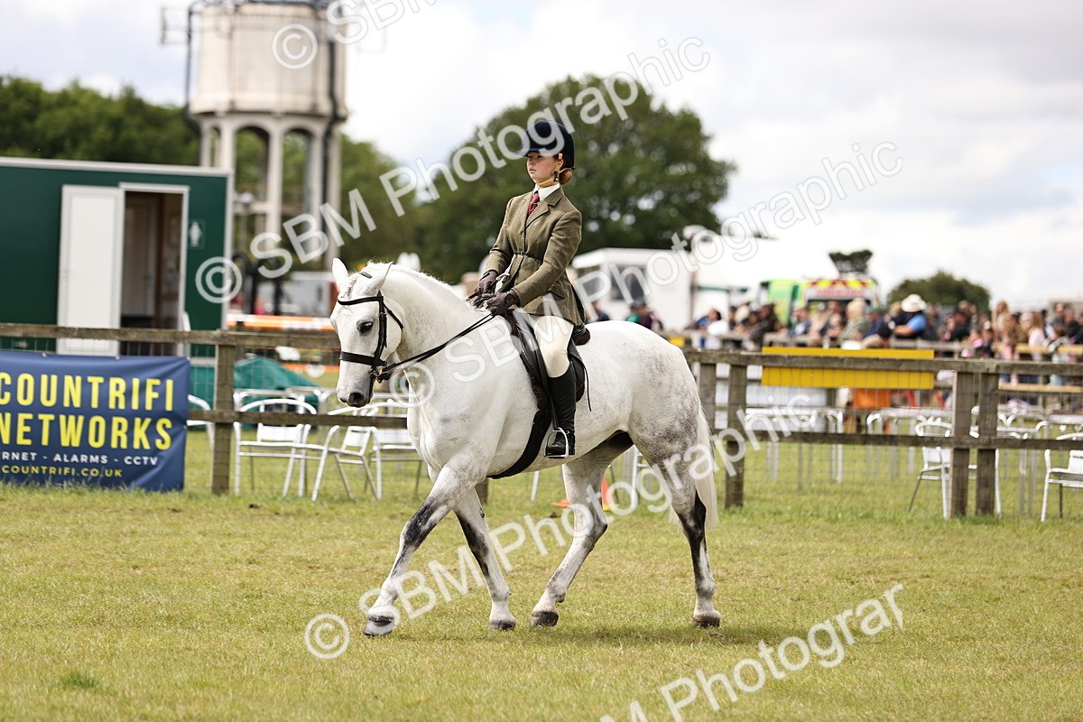 SBM_14586 - Class 88-89 - LIHS BSHA Rising Star of Ridden Hunter Type