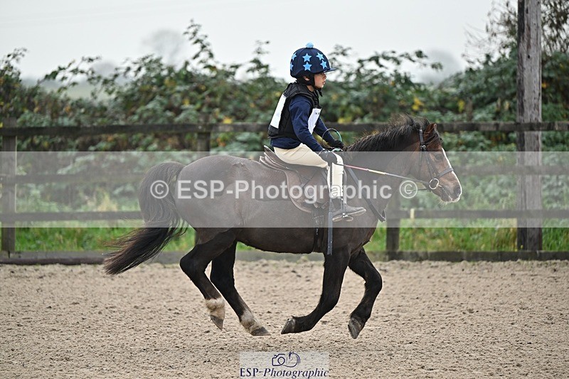 241110-094014-00051 - 40cm Showjumping