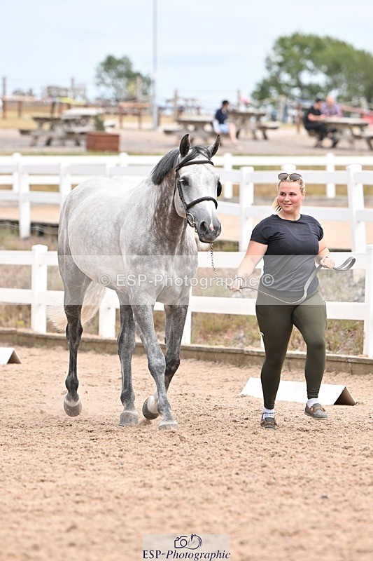 250716-153228-01991 - Trot Up 3.30 to 4.30