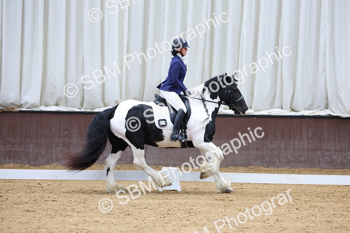 SBM_002263 - Novice 2