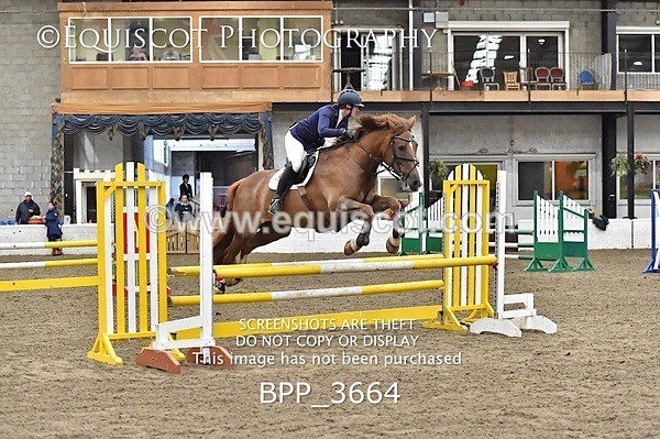 BPP_3664 - FRI CLASS 21 BR NOVICE/90CM