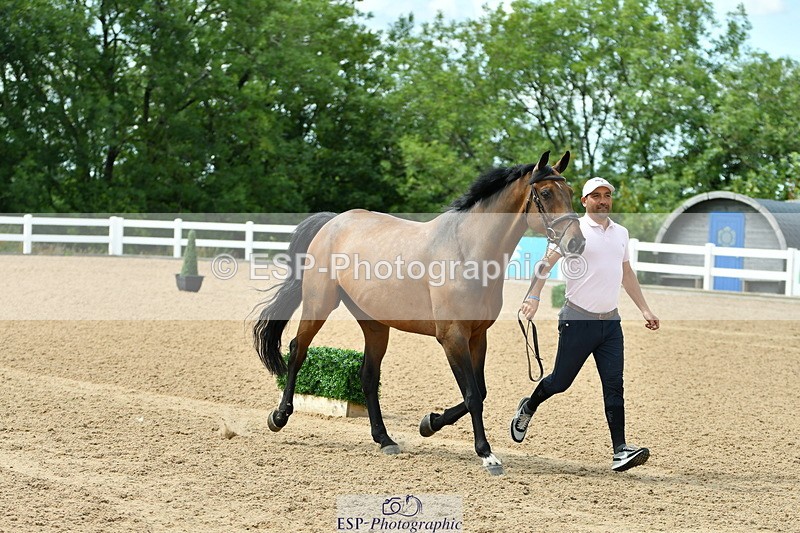 230719A-150534-00752 - Trot Up 3pm to 4pm