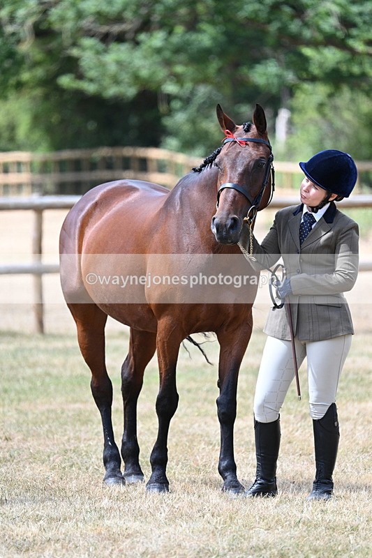 WJ7_2015 - Class 4a Prettiest Mare 14.2hh and over hand