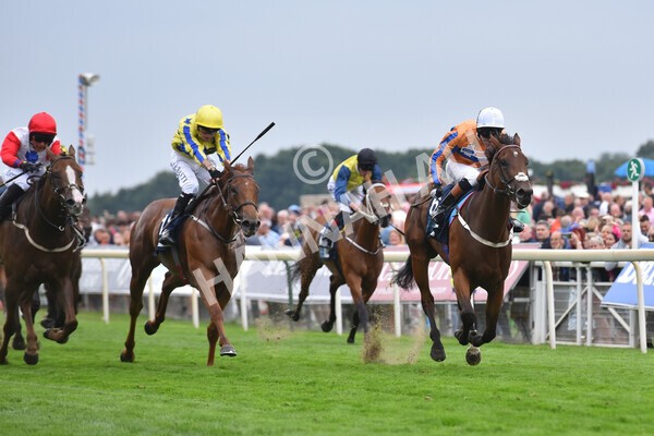 yr18082022r7-28 - Race 7 5.20pm British Stallion Studs EBF Fillies' Stakes