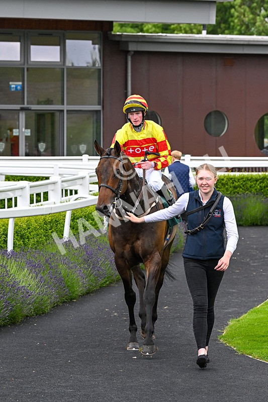 180624-Race 3-High Opinion-0343 - Race 3