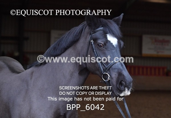 BPP_6042 - Erin Hancock ×2