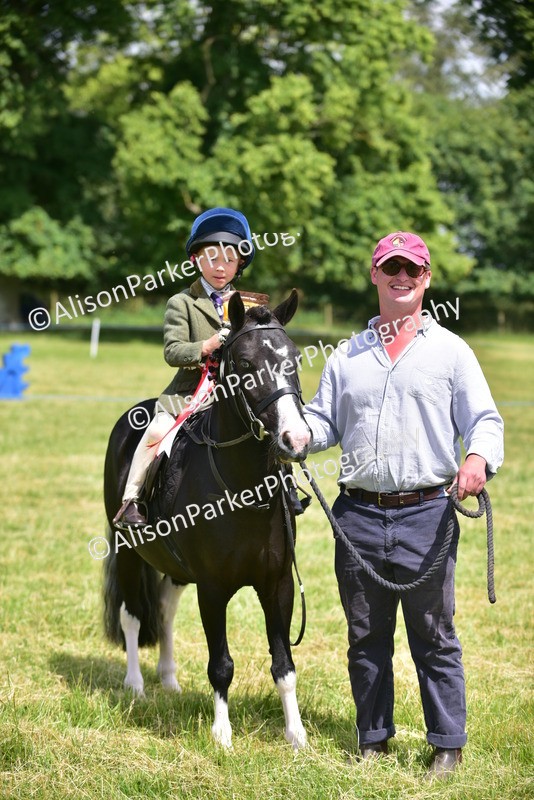 20260614-1406 - Class 11b - Lead Rein Pony (Plaited)