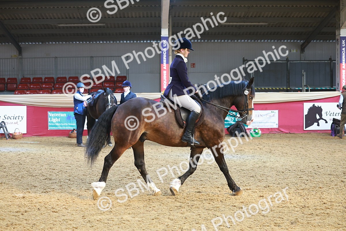 SBM_17796 - Class 952 - M&M Ridden Supreme Final