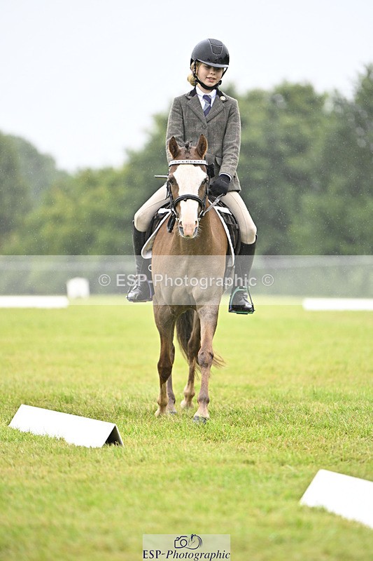 240824X-093011-21315 - D70 Section A and B 8.30 to 9.30