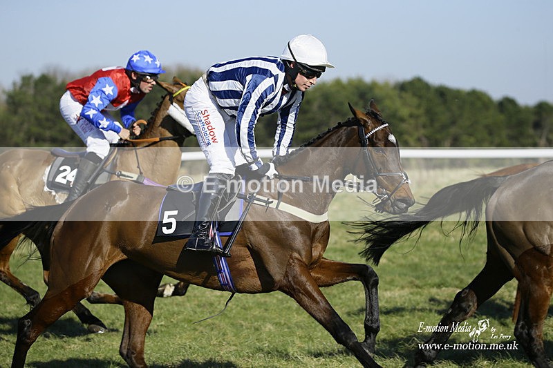 PtP 270222 66 - South & West Wilts Point-to-Point Larkhill 27/02/22
