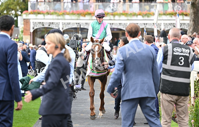 190826-144 Item - Race 4 15.35pm Juddmonte International Stakes