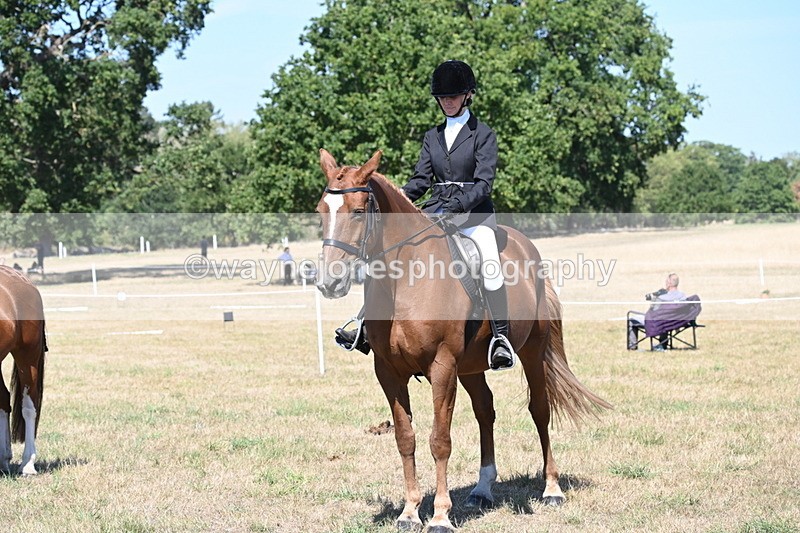 WJ6_8434 - Class 37a Best Loan Pony Ridden
