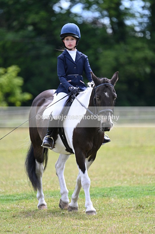 WJ7_9669 - Class 8 Ridden Veterans