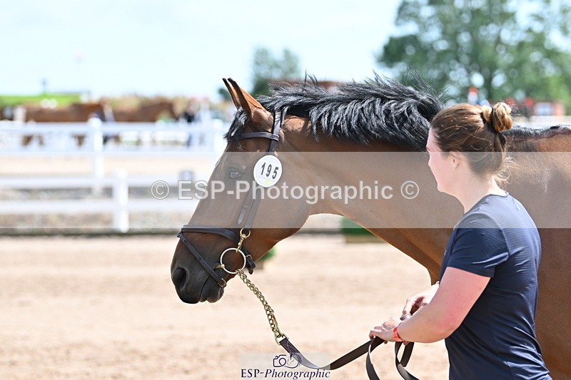 240717A-150442-02518 - Trot Up 3pm to 4pm